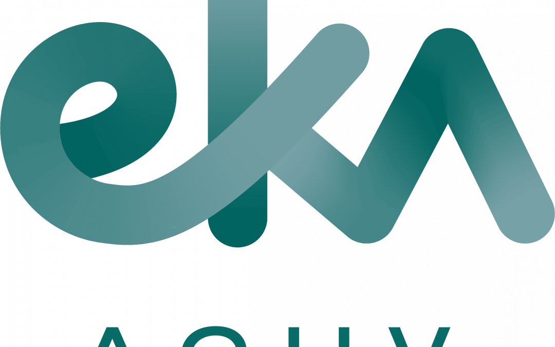 EKA/ACUV, BUKARAZTE-AKZIOEN TRAMITAZIOAN ERREFERENTE