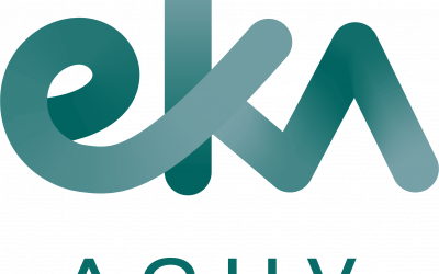 EKA/ACUV, BUKARAZTE-AKZIOEN TRAMITAZIOAN ERREFERENTE